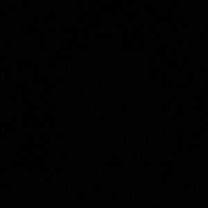 Meet your Posher, Bruce